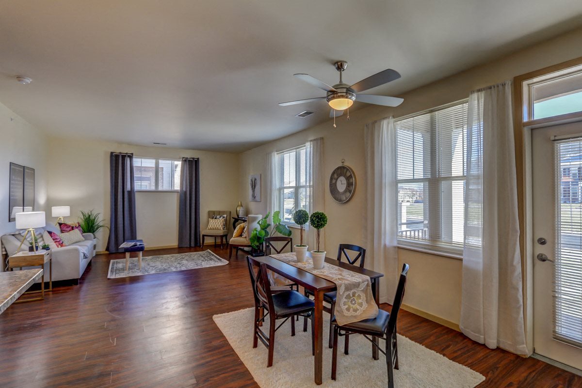 Gallery Photo 17